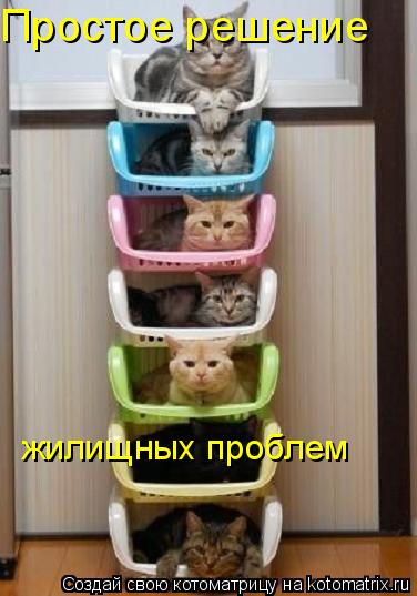 Простое решение жилищных проблем... Котоматрица: Простое решение жилищных проблем