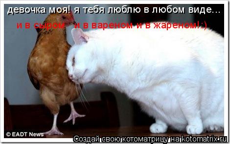 девочка моя! я тебя люблю в любом виде... и в сыром и в вареном и в жареном!:)... Котоматрица: девочка моя! я тебя люблю в любом виде... и в сыром и в вареном и в жареном!:)