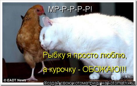 МР-Р-Р-Р-Р! Рыбку я просто люблю, а курочку - ОБОЖАЮ!!!... Котоматрица: МР-Р-Р-Р-Р! Рыбку я просто люблю, а курочку - ОБОЖАЮ!!!