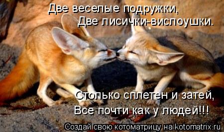 Две веселые подружки, Две лисички-вислоушки. Столько сплетен и затей, Все почти как у людей!!!... Котоматрица: Две веселые подружки, Две лисички-вислоушки. Столько сплетен и затей, Все почти как у людей!!!