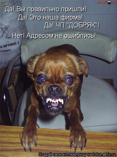 Да! Вы правильно пришли! Да! Это наша фирма! Да! ЧП "ДОБРЯК"! Нет! Адресом не ошиблись!... Котоматрица: Да! Вы правильно пришли! Да! Это наша фирма! Да! ЧП "ДОБРЯК"! Нет! Адресом не ошиблись!
