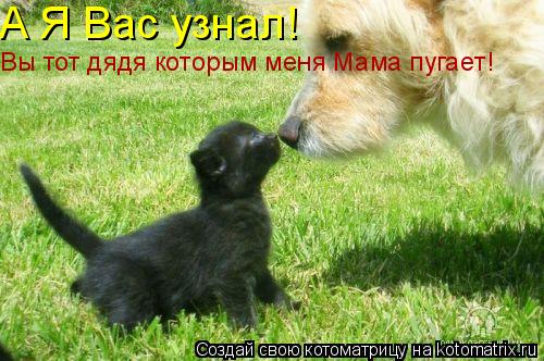 А Я Вас узнал! Вы тот дядя которым меня Мама пугает!... Котоматрица: А Я Вас узнал! Вы тот дядя которым меня Мама пугает!