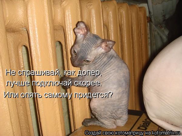 Не спрашивай, как допер, лучше подключай скорее. Или опять самому придется?... Котоматрица: Не спрашивай, как допер, лучше подключай скорее. Или опять самому придется?