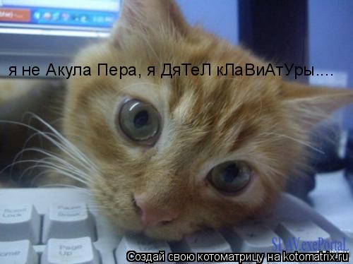 я не Акула Пера, я ДяТеЛ кЛаВиАтУры....... Котоматрица: я не Акула Пера, я ДяТеЛ кЛаВиАтУры....