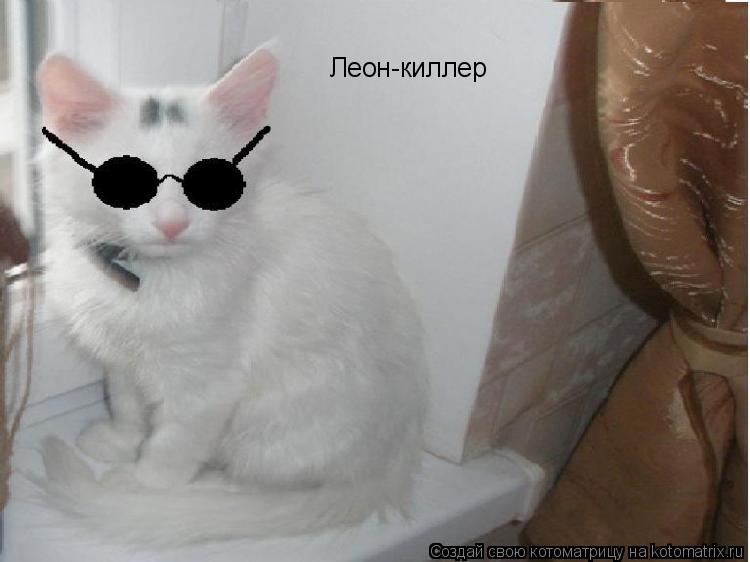 Леон-киллер... Котоматрица: Леон-киллер
