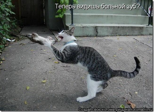 Теперь видишь больной зуб?... Котоматрица: Теперь видишь больной зуб?