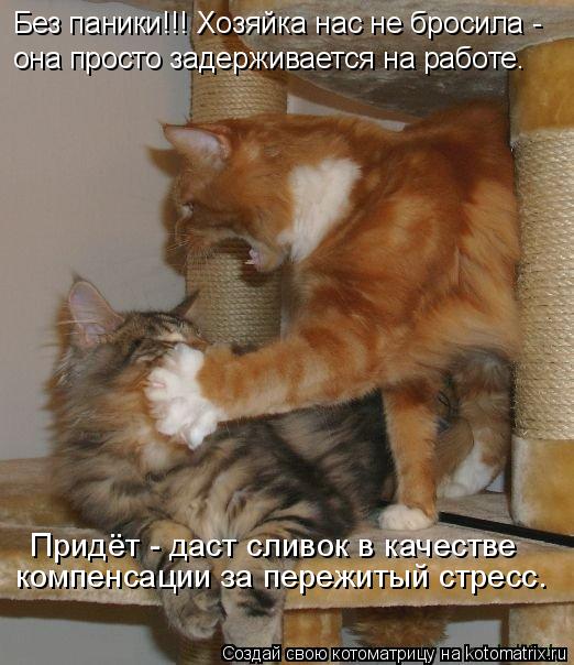Без паники!!! Хозяйка нас не бросила - она просто задерживается на работе. Придёт - даст сливок в кач... Котоматрица: Без паники!!! Хозяйка нас не бросила - она просто задерживается на работе. Придёт - даст сливок в качестве компенсации за пережитый стресс.