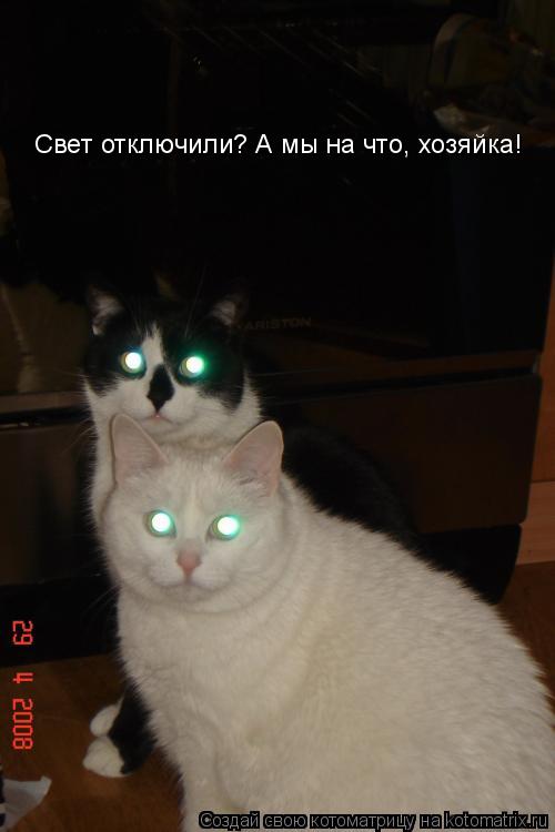 Свет отключили? А мы на что, хозяйка!... Котоматрица: Свет отключили? А мы на что, хозяйка!