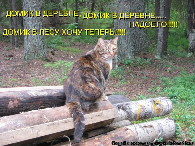 ДОМИК В ДЕРЕВНЕ, ДОМИК В ДЕРЕВНЕ..... НАДОЕЛО!!!!! ДОМИК В ЛЕСУ ХОЧУ ТЕПЕРЬ!!!!!... Котоматрица: ДОМИК В ДЕРЕВНЕ, ДОМИК В ДЕРЕВНЕ..... НАДОЕЛО!!!!! ДОМИК В ЛЕСУ ХОЧУ ТЕПЕРЬ!!!!!