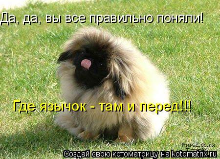 Да, да, вы все правильно поняли! Где язычок - там и перед!!!... Котоматрица: Да, да, вы все правильно поняли! Где язычок - там и перед!!!