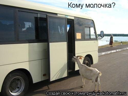 Кому молочка?... Котоматрица: Кому молочка?
