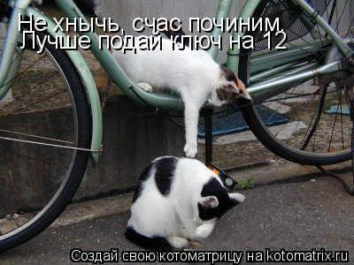 Не хнычь, счас починим. Лучше подай ключ на 12... Котоматрица: Не хнычь, счас починим. Лучше подай ключ на 12