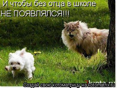 И чтобы без отца в школе НЕ ПОЯВЛЯЛСЯ!!!... Котоматрица: И чтобы без отца в школе НЕ ПОЯВЛЯЛСЯ!!!