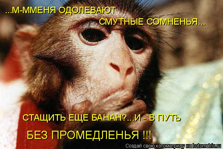 ...М-ММЕНЯ ОДОЛЕВАЮТ СМУТНЫЕ СОМНЕНЬЯ... СТАЩИТЬ ЕЩЕ БАНАН?...И - В ПУТЬ БЕЗ ПРОМЕДЛЕНЬЯ !!!... Котоматрица: ...М-ММЕНЯ ОДОЛЕВАЮТ СМУТНЫЕ СОМНЕНЬЯ... СТАЩИТЬ ЕЩЕ БАНАН?...И - В ПУТЬ БЕЗ ПРОМЕДЛЕНЬЯ !!!