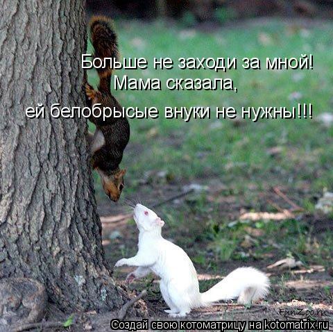 Больше не заходи за мной! Мама сказала, ей белобрысые внуки не нужны!!!... Котоматрица: Больше не заходи за мной! Мама сказала, ей белобрысые внуки не нужны!!!