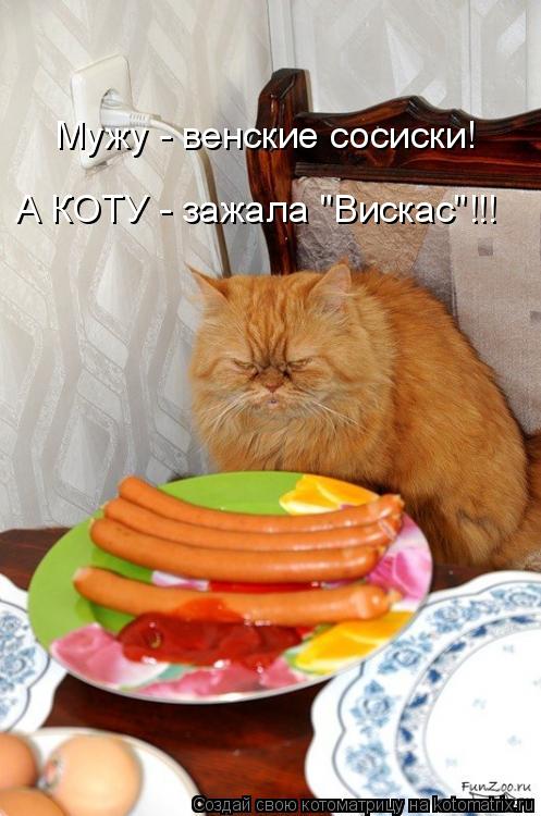 Мужу - венские сосиски! А КОТУ - зажала "Вискас"!!!... Котоматрица: Мужу - венские сосиски! А КОТУ - зажала "Вискас"!!!