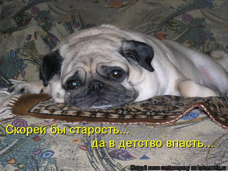 Скорей бы старость... да в детство впасть...... Котоматрица: Скорей бы старость... да в детство впасть...
