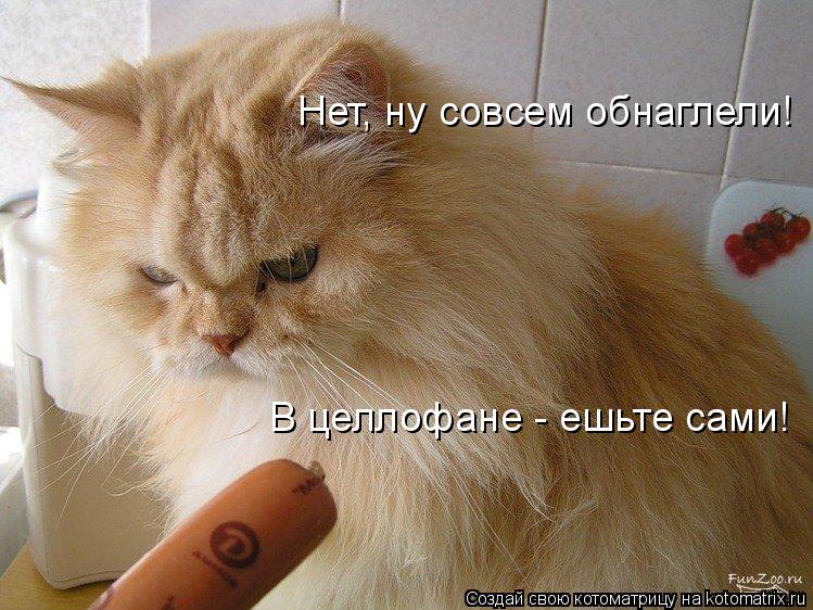 Нет, ну совсем обнаглели! В целлофане - ешьте сами!... Котоматрица: Нет, ну совсем обнаглели! В целлофане - ешьте сами!