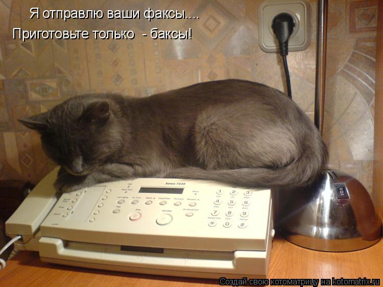 Я отправлю ваши факсы.... Приготовьте только - баксы!... Котоматрица: Я отправлю ваши факсы.... Приготовьте только - баксы!