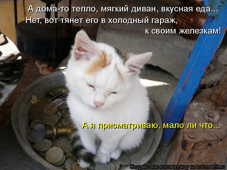 А дома-то тепло, мягкий диван, вкусная еда... Нет, вот тянет его в холодный гараж, к своим железкам!... Котоматрица: А дома-то тепло, мягкий диван, вкусная еда... Нет, вот тянет его в холодный гараж, к своим железкам! А я присматриваю, мало ли что...