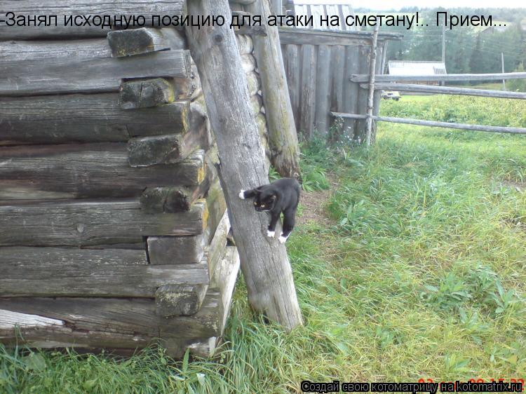 -Занял исходную позицию для атаки на сметану!.. Прием...... Котоматрица: -Занял исходную позицию для атаки на сметану!.. Прием...