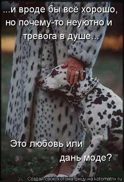 ...и вроде бы всё хорошо, но почему-то неуютно и тревога в душе... Это любовь или дань моде?... Котоматрица: ...и вроде бы всё хорошо, но почему-то неуютно и тревога в душе... Это любовь или дань моде?