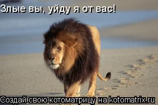 Злые вы, уйду я от вас!... Котоматрица: Злые вы, уйду я от вас!