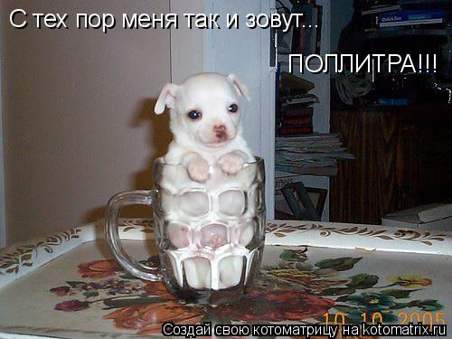 С тех пор меня так и зовут... ПОЛЛИТРА!!!... Котоматрица: С тех пор меня так и зовут... ПОЛЛИТРА!!!