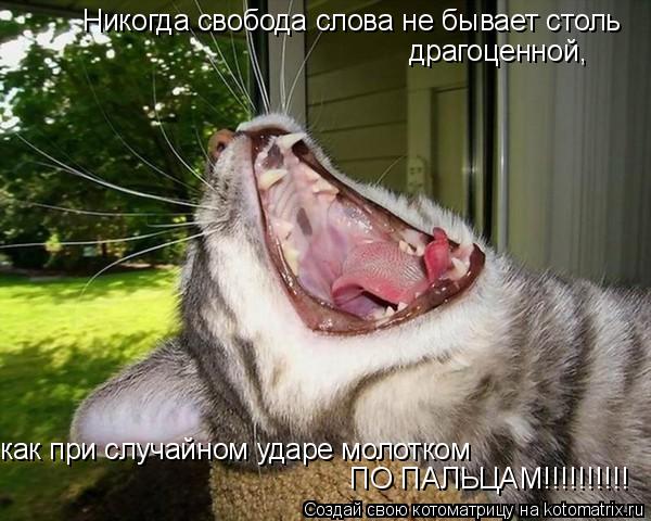Никогда свобода слова не бывает столь драгоценной, как при случайном ударе молотком ПО ПАЛЬЦАМ!!!!!!!!!!
