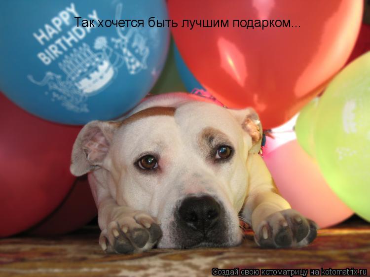 А меня эти шарики не радуют анекдот А меня эти шарики не радуют анекдот