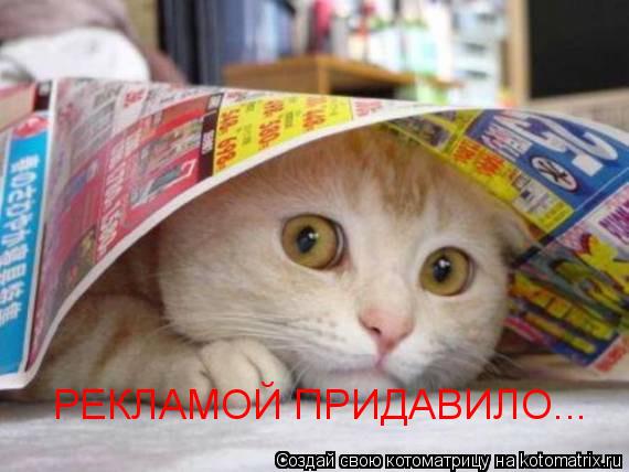 РЕКЛАМОЙ ПРИДАВИЛО...... Котоматрица: РЕКЛАМОЙ ПРИДАВИЛО...