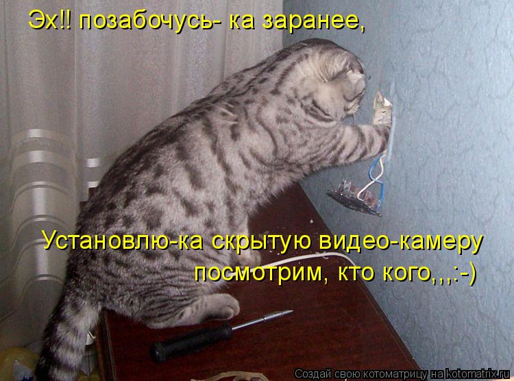 Эх!! позабочусь- ка заранее, Установлю-ка скрытую видео-камеру посмотрим, кто кого,,,:-)... Котоматрица: Эх!! позабочусь- ка заранее, Установлю-ка скрытую видео-камеру посмотрим, кто кого,,,:-)