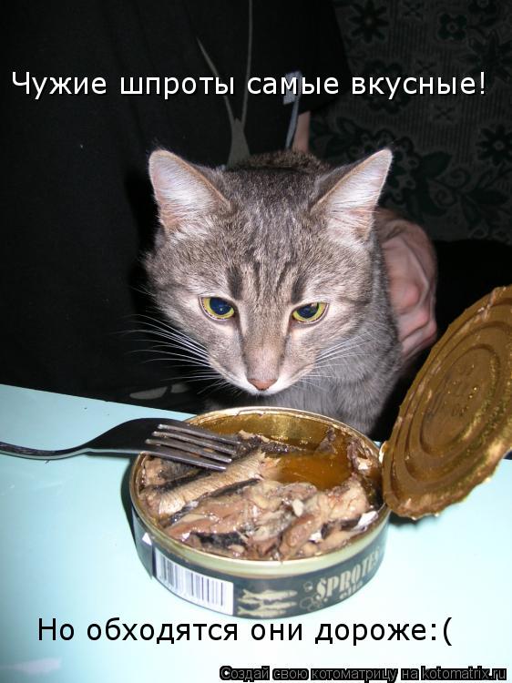 Чужие шпроты самые вкусные! Но обходятся они дороже:(... Котоматрица: Чужие шпроты самые вкусные! Но обходятся они дороже:(