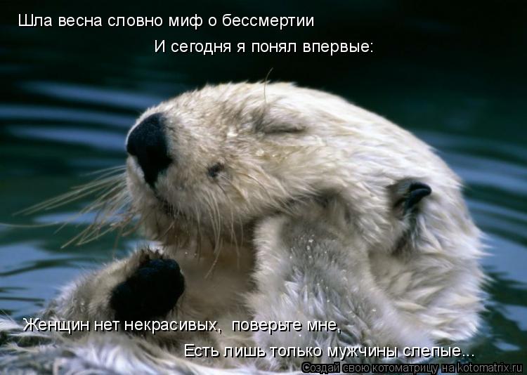 Шла весна словно миф о бессмертии И сегодня я понял впервые: Женщин нет некрасивых, поверьте мне... Котоматрица: Шла весна словно миф о бессмертии И сегодня я понял впервые: Женщин нет некрасивых, поверьте мне, Есть лишь только мужчины слепые...