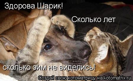 Котоматрица: Здорова Шарик!  Сколько лет сколько зим не виделись!