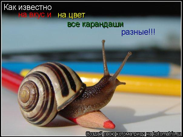 Котоматрица: Как известно на цвет все карандаши на вкус и разные!!!