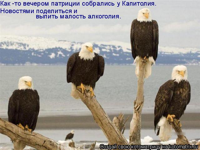 Котоматрица: Как -то вечером патриции собрались у Капитолия. Новостями поделиться и  выпить малость алкоголия.