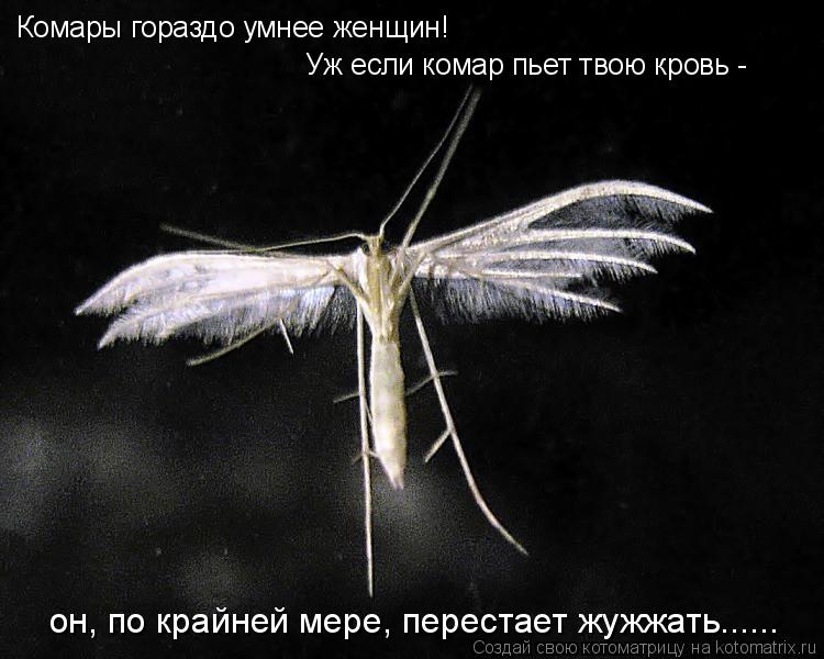 Комары гораздо умнее женщин! Уж если комар пьет твою кровь - он, по крайней мере, перестает жужжать.... Котоматрица: Комары гораздо умнее женщин! Уж если комар пьет твою кровь - он, по крайней мере, перестает жужжать......