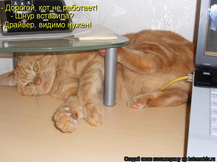 - Дорогой, кот не работает! - Шнур вставила? - Драйвер, видимо нужен!... Котоматрица: - Дорогой, кот не работает! - Шнур вставила? - Драйвер, видимо нужен!