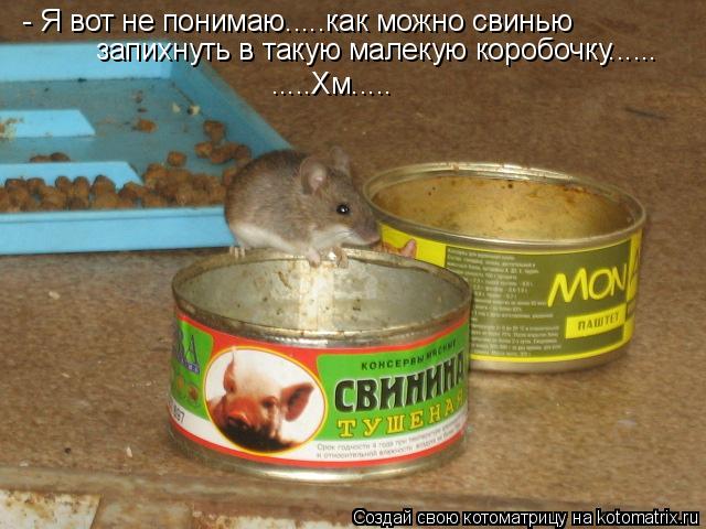 - Я вот не понимаю.....как можно свинью запихнуть в такую малекую коробочку...... .....Хм........ Котоматрица: - Я вот не понимаю.....как можно свинью запихнуть в такую малекую коробочку...... .....Хм.....