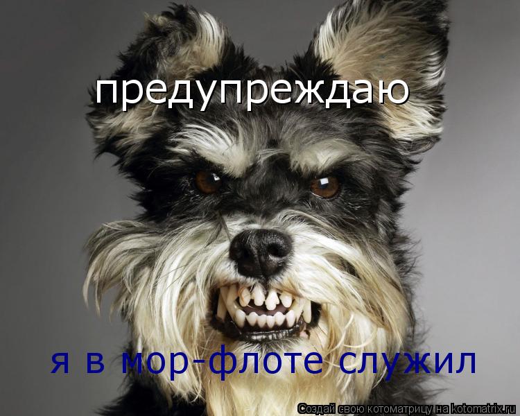 предупреждаю я в мор-флоте служил... Котоматрица: предупреждаю я в мор-флоте служил