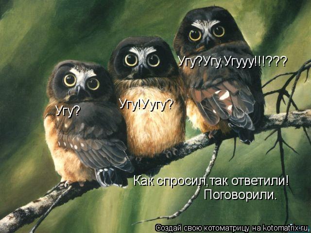 Угу? Угу!Уугу? Угу?Угу,Угууу!!!??? Как спросил,так ответили! Поговорили.... Котоматрица: Угу? Угу!Уугу? Угу?Угу,Угууу!!!??? Как спросил,так ответили! Поговорили.