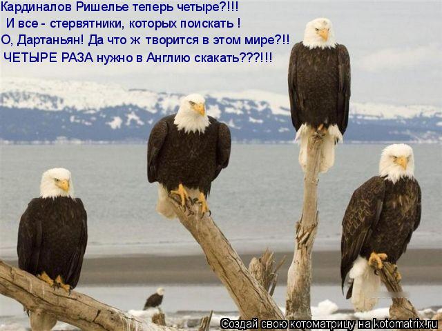 Котоматрица: Кардиналов Ришелье теперь четыре?!!! И все - стервятники, которых поискать ! О, Дартаньян! Да что ж  творится в этом мире?!!  ЧЕТЫРЕ РАЗА нужно в 