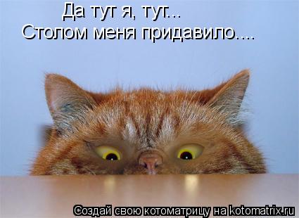 Да тут я, тут... Столом меня придавило....... Котоматрица: Да тут я, тут... Столом меня придавило....