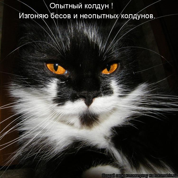 Изгоняю бесов и неопытных колдунов. Опытный колдун !... Котоматрица: Изгоняю бесов и неопытных колдунов. Опытный колдун !