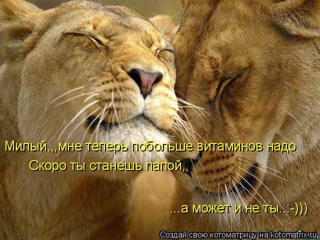 Милый,,,мне теперь побольше витаминов надо Скоро ты станешь папой,, ...а может и не ты..:-)))... Котоматрица: Милый,,,мне теперь побольше витаминов надо Скоро ты станешь папой,, ...а может и не ты..:-)))