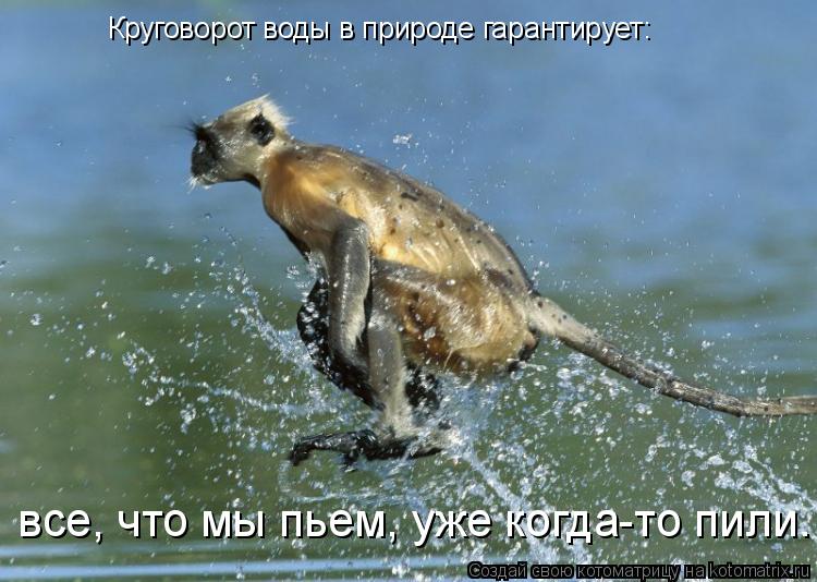 Круговорот воды в природе гарантирует: все, что мы пьем, уже когда-то пили.... Котоматрица: Круговорот воды в природе гарантирует: все, что мы пьем, уже когда-то пили.