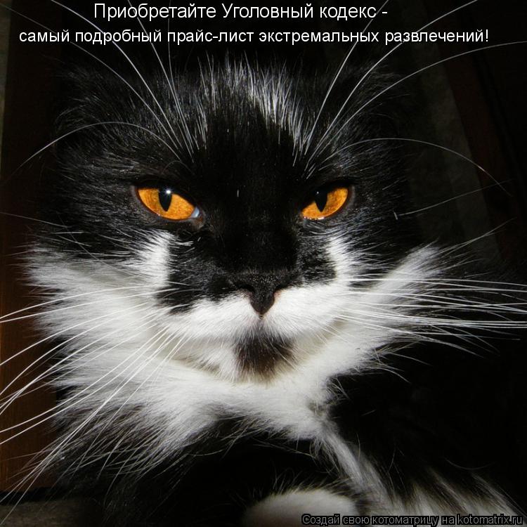 Приобретайте Уголовный кодекс - самый подробный прайс-лист экстремальных развлечений!... Котоматрица: Приобретайте Уголовный кодекс - самый подробный прайс-лист экстремальных развлечений!