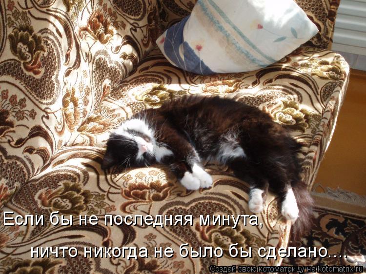 Если бы не последняя минута, ничто никогда не было бы сделано....... Котоматрица: Если бы не последняя минута, ничто никогда не было бы сделано....