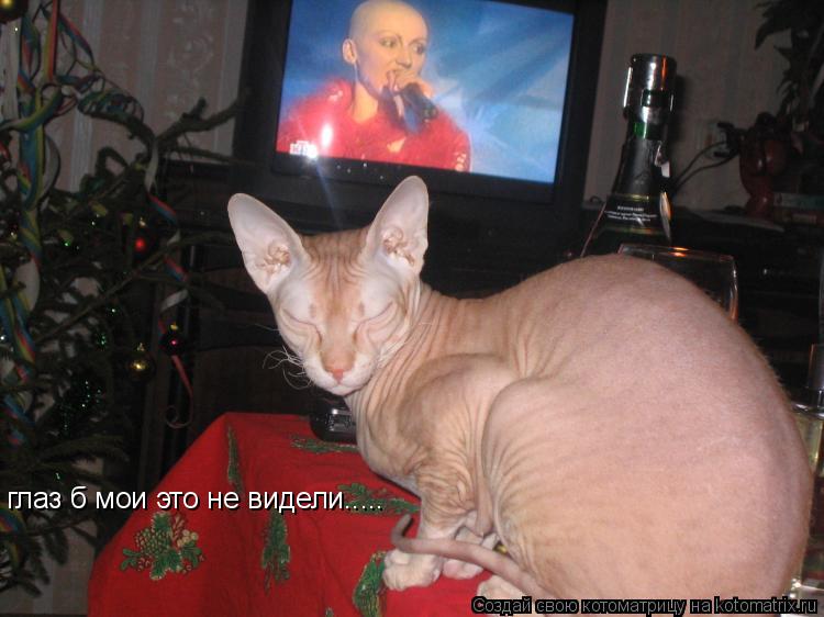 глаз б мои это не видели........ Котоматрица: глаз б мои это не видели.....